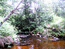 Старомельничный ручей (Вертунок)
